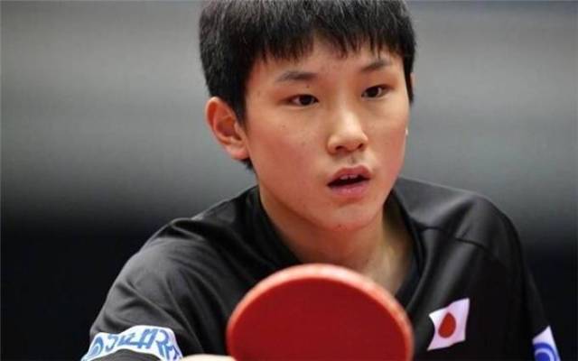 提供了強大 提供了強大